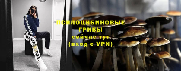 кокс Баксан
