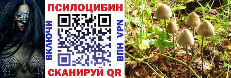 цены наркотик  Озёры  Галлюциногенные грибы прущие грибы 